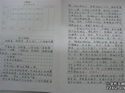 中考语文复习优质课 如何写出2015年中考语文优质作文