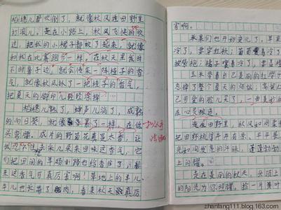 优秀作文实验室450字 【优秀作文】 科学小实验