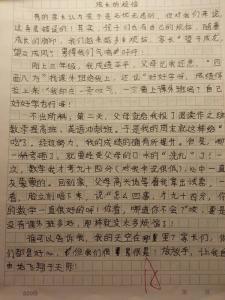 成长的烦恼作文三百字 成长的烦恼作文（三篇）