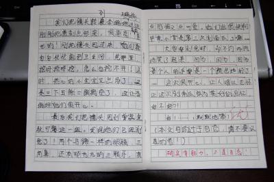 万圣节作文400字 关于万圣节600字作文