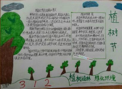 小学生,植树节手抄报. 小学生植树节手抄报图片