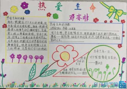 热爱生命手抄报字大点 小学生热爱生命手抄报