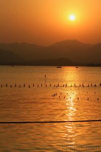 夕阳无限好人间重晚晴 夕阳总是斜照人间