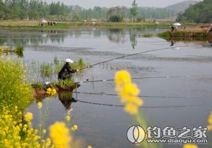 早春钓鱼技巧 北方地区早春季节的钓鱼技巧