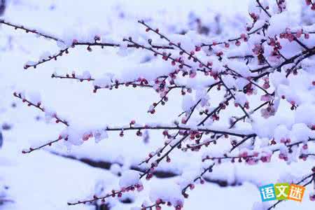 描写下雪的段落 关于下雪的句子，段落