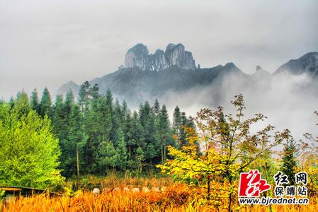 武陵山有什么好玩的 武陵山的重阳