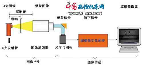 x射线与物质相互作用 用X射线技术改善鱼饲料都起到哪些作用