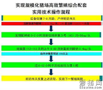 黄体囊肿 黄体囊肿的病因 是由什么原因引起的