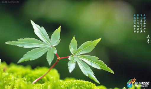 又是一年好时节 又是一年立春时节