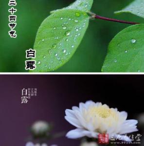 白露节气的传统习俗有什么