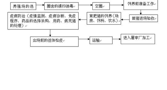 生猪免疫程序 生猪养殖过程中猪免疫疫苗过敏反应的急救方法