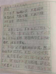 小学一年级好句子摘抄 小学一年级好词好句好段摘抄大全