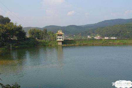 曼飞龙水库地图 西双版纳曼飞龙水库