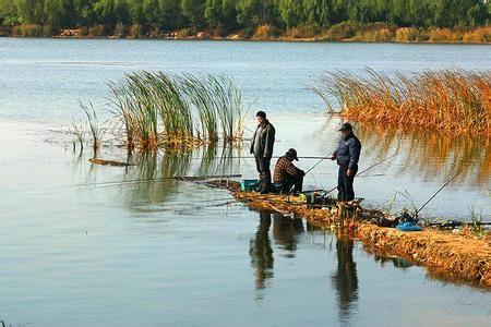 秋季钓鱼用什么饵料 推荐4款秋钓鱼饵