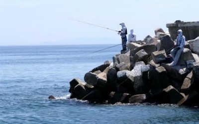 海钓用什么鱼饵 海钓的5大类鱼饵