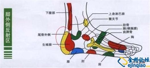 脚后跟疼是怎么回事 脚后跟疼是怎么回事要怎么办