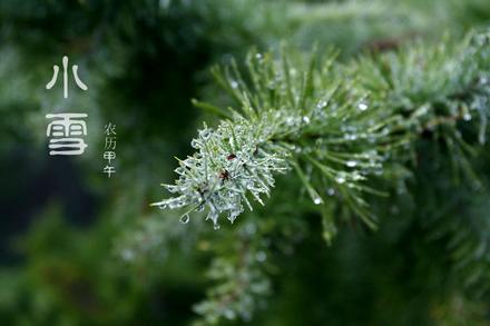 小雪节气 小雪节气给同事的美好祝福语2014