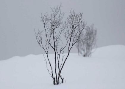 24节气气候特征 小雪节气后的气候特征