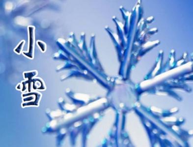 倾家荡产压小雪什么梗 小雪代表什么