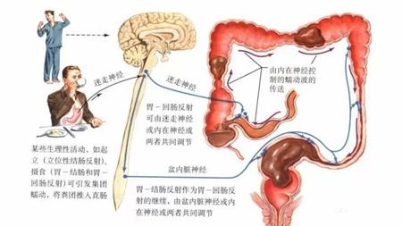 清宿便最有效的方法 如何有效的清宿便