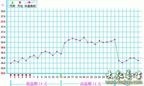 人体体温是37.5正常么 人体正常体温是多少？