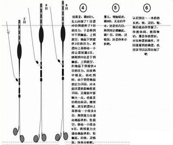 野钓鲫鱼浮漂选择 钓鲫鱼时如何选择浮漂号数