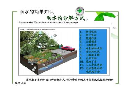 脾胃气滞 雨水节气注意脾胃气滞