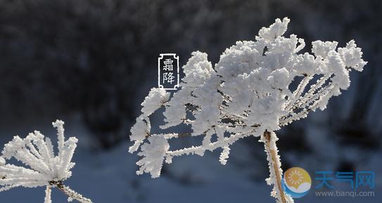 霜降节气的天气是什么样的