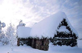 二十四节气大雪 二十四节气大雪之养生攻略