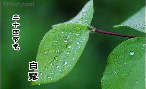 白露节气 白露节气支气管哮喘怎么办