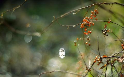 雨水节气 雨水节气3个动作保健康