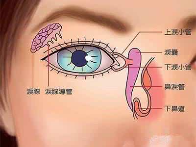 引起干眼症的原因 干眼症是什么原因引起的呢