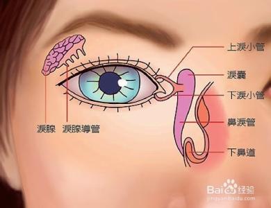 干眼症会失明吗 为什么会有干眼症