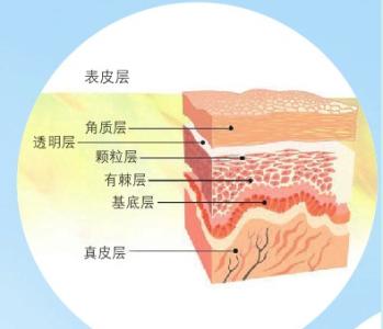 皮肤护理的五大步骤 皮肤保湿五步骤