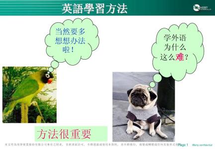 高中英语最好的学习方法