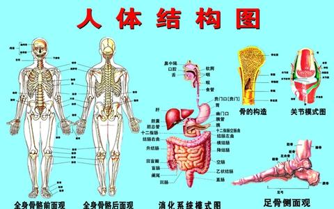 女人最刺激的部位视频 刺激人体的5部位可长寿