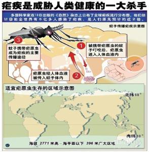 蚊子会传播乙肝 蚊子会传播哪些疾病