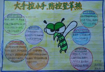 防蚊灭蚊手抄报 防蚊灭蚊手抄报内容