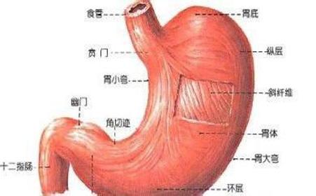 胆汁流返性胃炎 胆汁反流性胃炎四大表现