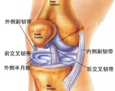 膝关节炎晚期症状 膝关节炎症状