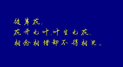 关于爱情的经典语录 关于爱情的经典语句