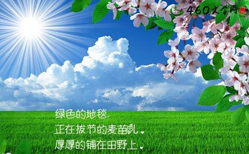 清明节缅怀亲人 清明节缅怀亲人的好句好段大全