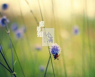 小满节气养生饮食 小满节气怎么分体质进行饮食调养