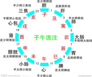 身体各器官排毒时间表 身体器官工作表一览