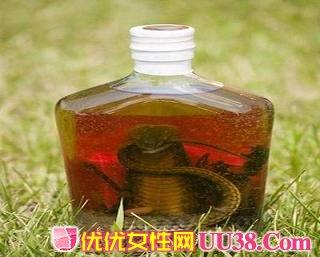 百草堂风湿蛇酒王 去风湿蛇酒在家自己做