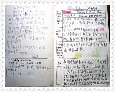 兔子坡读书笔记30字 兔子坡读书笔记