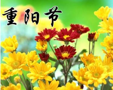 送给老人温馨的祝福语 2013最新重阳节祝福语短信大全__送给家人,送给朋友,送给客户,幽默搞笑,温馨祝福语