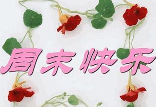 问候祝福短信 夏季问候祝福短信