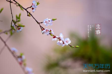 立春祝福短信 立春节气祝福短信