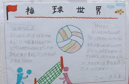 学习女排精神手抄报